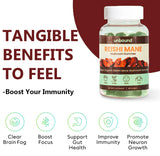 Unbound Reishi Mushroom Gummies for Immune Support, Heart Health, Improve Sleep